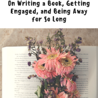 Long Time No See : On Writing a Book, Getting Engaged, and Being Away for So Long